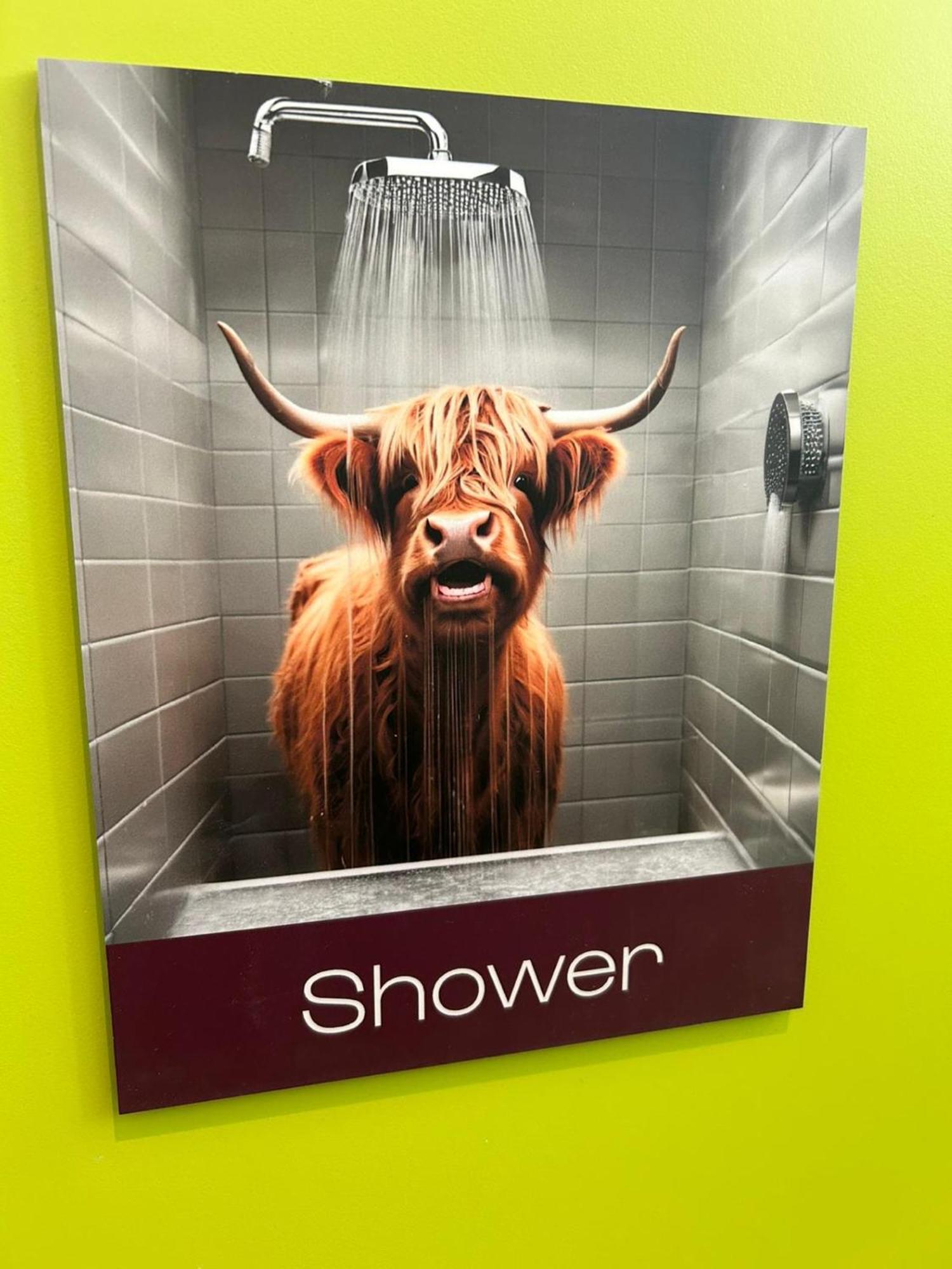 Cowgate Hostel EDI Buitenkant foto